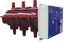 FLRN36-12D戶內(nèi)高壓交流六氟化硫負(fù)荷開關(guān)-熔斷器組合電器